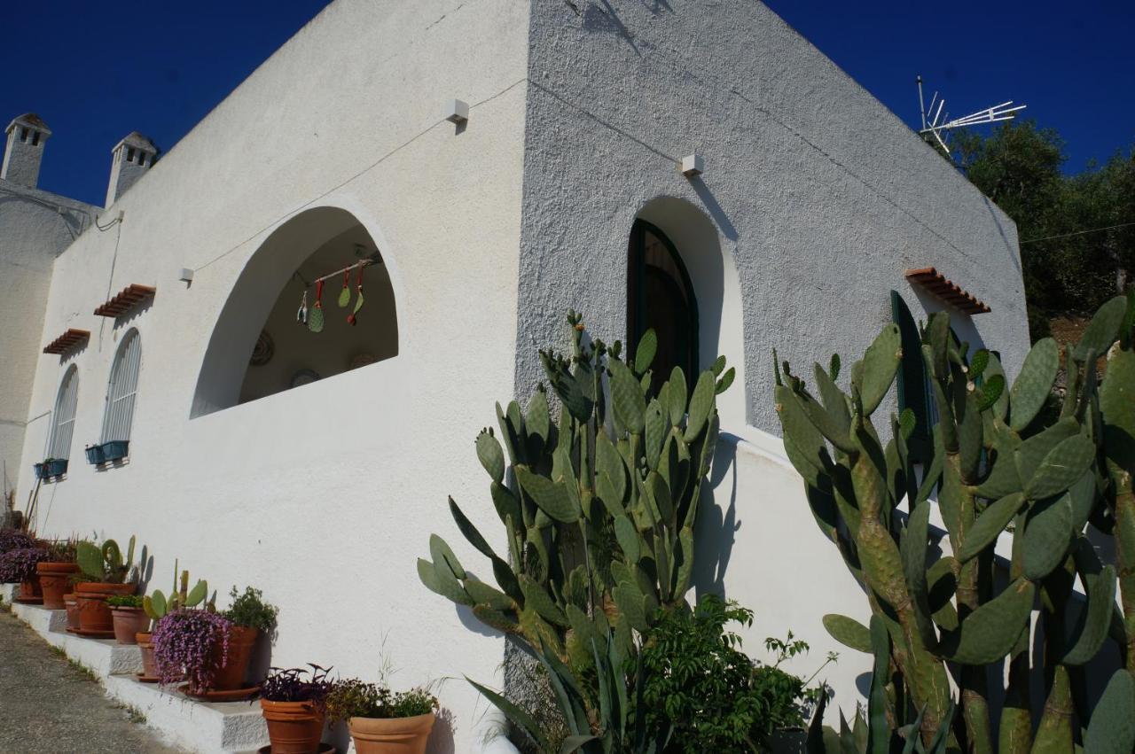 Casa Molo 13 Villa Mattinata Eksteriør bilde