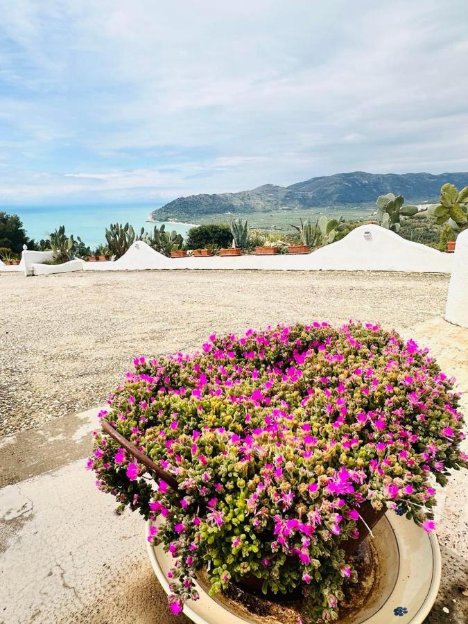 Casa Molo 13 Villa Mattinata Eksteriør bilde
